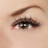 Wait for It... Lash Style